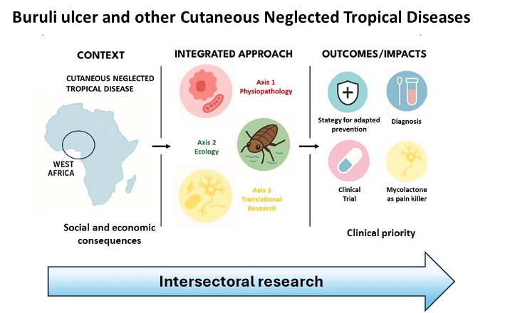 equipe3 team 4 incit graphic